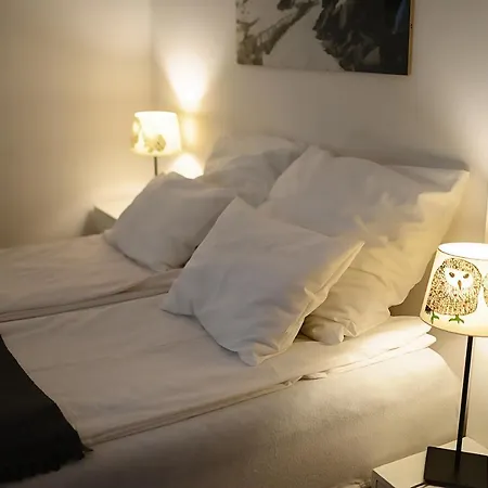 ホームステイ Iga カルパッチ