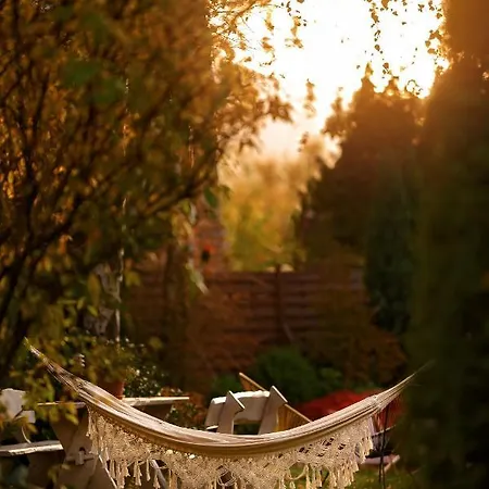 Iga ホームステイ *