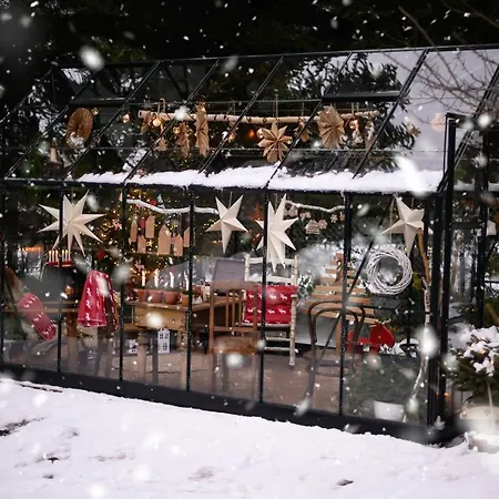 Iga * カルパッチ